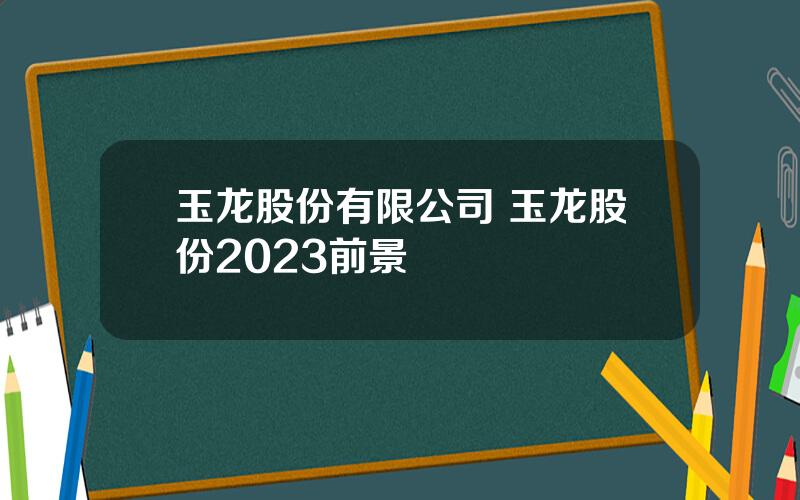 玉龙股份有限公司 玉龙股份2023前景